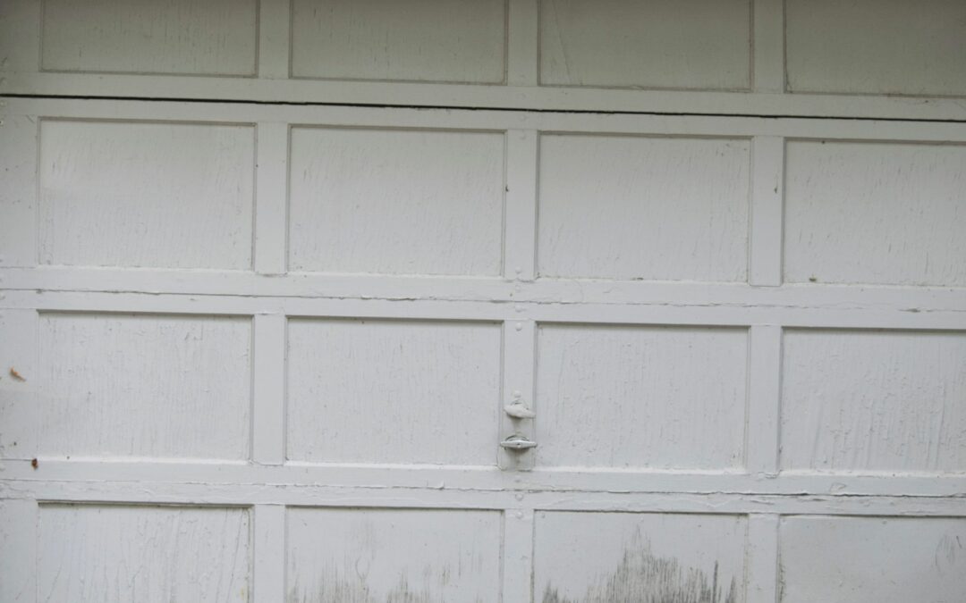 Common Issues That Require Same Day Garage Door Panel Repair